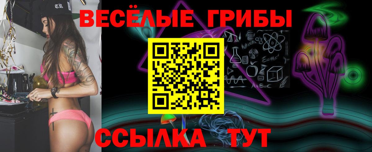 Псилоцибиновые грибы GOLDEN TEACHER  Галлюциногенные грибы мухоморы  Будённовск  Вход с VPN 