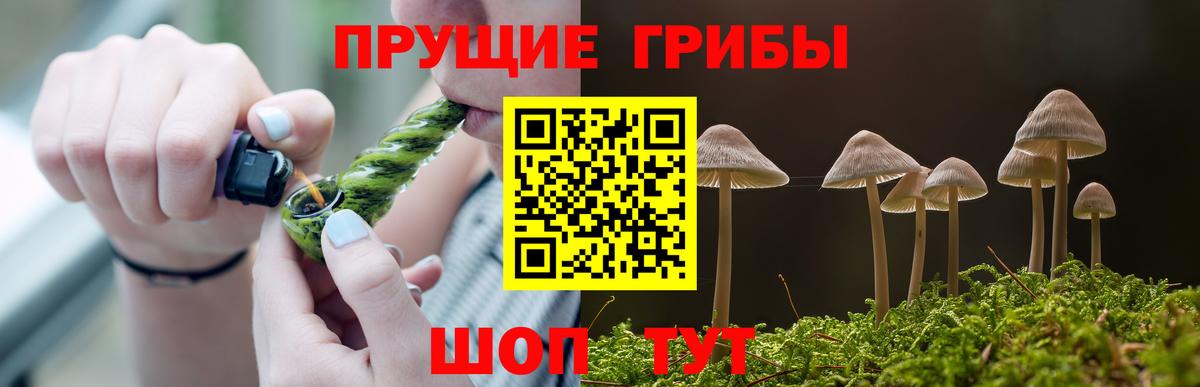 Псилоцибиновые грибы Psilocybine cubensis Будённовск